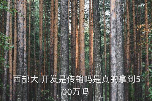 西部開(kāi)發(fā)銀行,中國(guó)西部開(kāi)發(fā)促進(jìn)會(huì)
