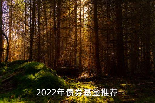 2022年債券基金推薦