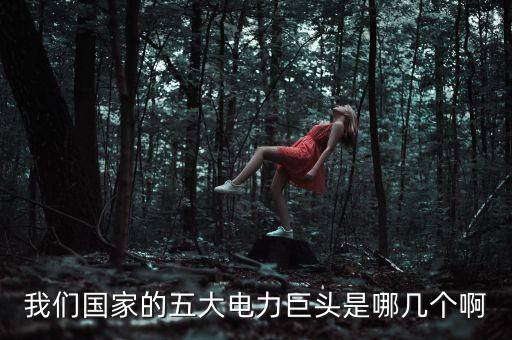 我們國家的五大電力巨頭是哪幾個啊