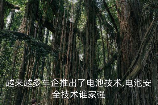 越來(lái)越多車企推出了電池技術(shù),電池安全技術(shù)誰(shuí)家強(qiáng)