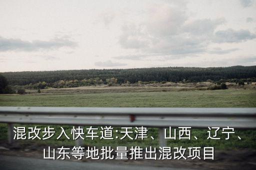 誠通基金管理有限公司,達誠基金管理有限公司
