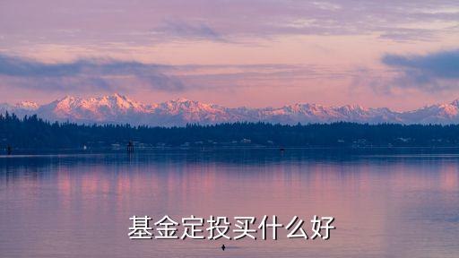  基金定投買(mǎi)什么好