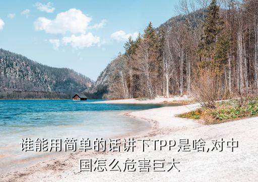論tpp對(duì)中國經(jīng)濟(jì)的影響