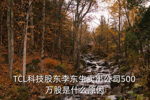 TCL科技股東李東生賣出公司500萬股是什么原因