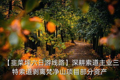 【韭菜坪六日游線路】深耕索道主業(yè)三特索道剝離梵凈山項目部分資產(chǎn)