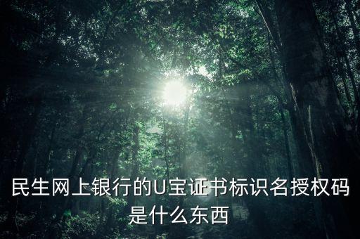 民生網(wǎng)上銀行的U寶證書標識名授權(quán)碼是什么東西