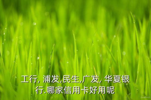 工行, 浦發(fā),民生,廣發(fā), 華夏銀行.哪家信用卡好用呢