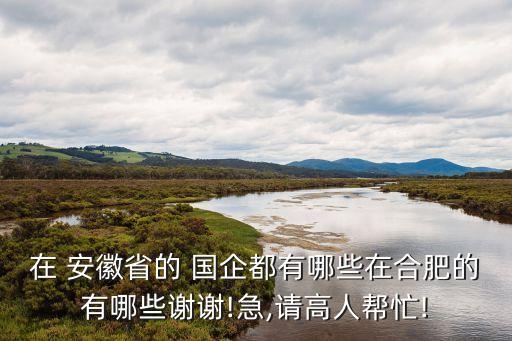 在 安徽省的 國(guó)企都有哪些在合肥的有哪些謝謝!急,請(qǐng)高人幫忙!