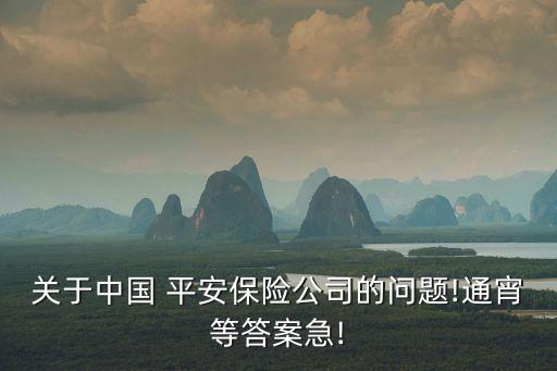 關(guān)于中國 平安保險(xiǎn)公司的問題!通宵等答案急!