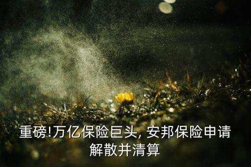 重磅!萬億保險巨頭, 安邦保險申請解散并清算