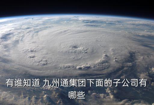 有誰知道 九州通集團下面的子公司有哪些