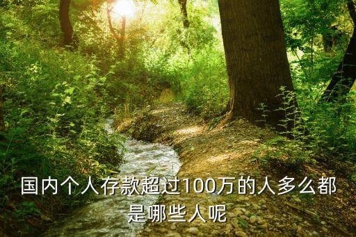 國內(nèi)個(gè)人存款超過100萬的人多么都是哪些人呢