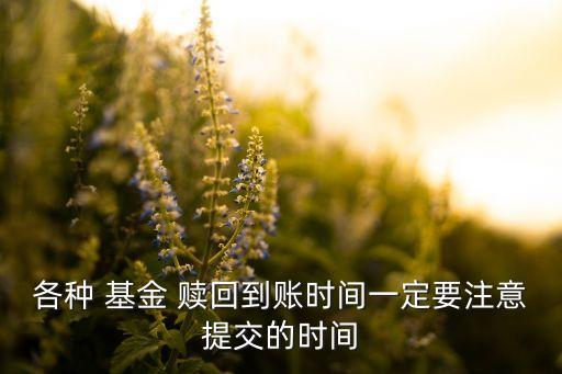 各種 基金 贖回到賬時(shí)間一定要注意提交的時(shí)間