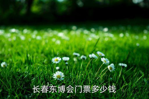 長春東博會門票多少錢