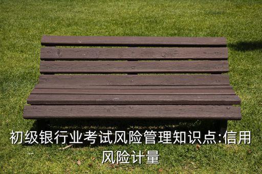 初級銀行業(yè)考試風險管理知識點:信用風險計量