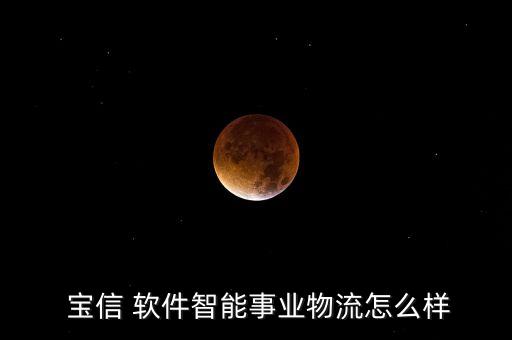 寶信軟件山東分公司