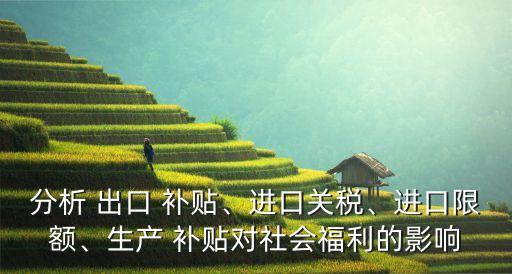 分析 出口 補(bǔ)貼、進(jìn)口關(guān)稅、進(jìn)口限額、生產(chǎn) 補(bǔ)貼對(duì)社會(huì)福利的影響