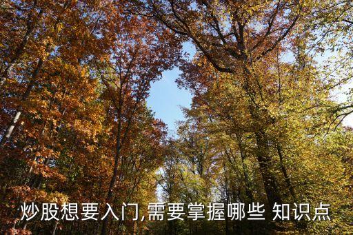 炒股想要入門,需要掌握哪些 知識(shí)點(diǎn)