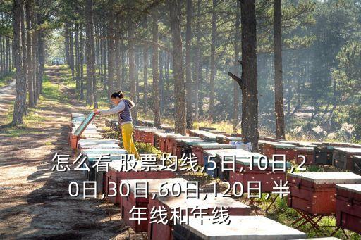 股票5年均線