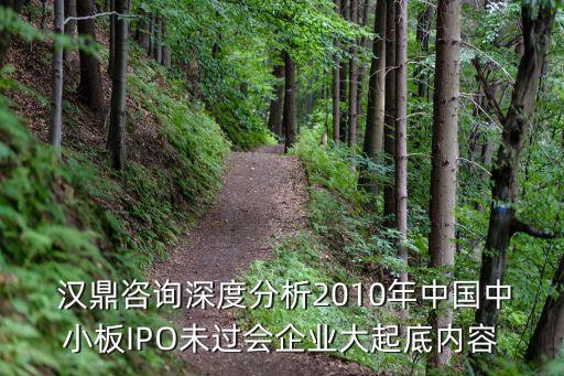  漢鼎咨詢(xún)深度分析2010年中國(guó)中小板IPO未過(guò)會(huì)企業(yè)大起底內(nèi)容