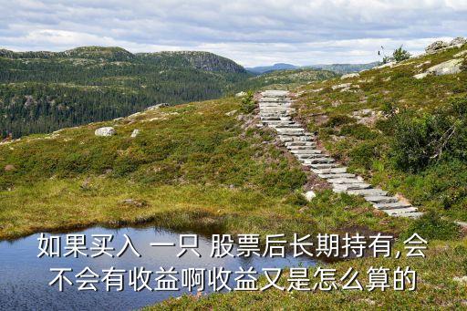 如果買(mǎi)入 一只 股票后長(zhǎng)期持有,會(huì)不會(huì)有收益啊收益又是怎么算的