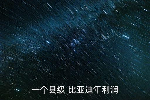 一個(gè)縣級(jí) 比亞迪年利潤(rùn)