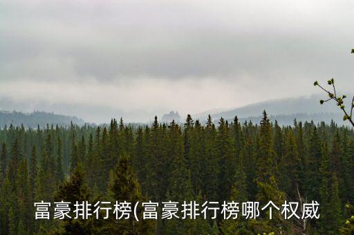 北京鴻商集團(tuán)股份有限公司,鴻星科技(集團(tuán))股份有限公司上市