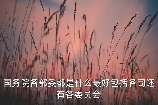 國務(wù)院各部委都是什么最好包括各司還有各委員會