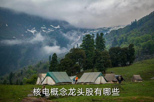 核電概念龍頭股有哪些