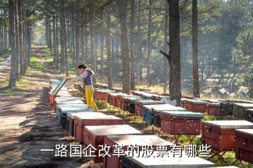 一帶一路國企改革的股票有哪些
