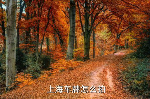  上海車牌怎么拍