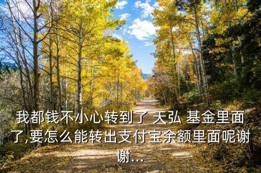 我都錢不小心轉(zhuǎn)到了 天弘 基金里面了,要怎么能轉(zhuǎn)出支付寶余額里面呢謝謝...