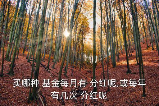 買(mǎi)哪種 基金每月有 分紅呢,或每年有幾次 分紅呢