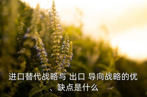 中國不適合出口導(dǎo)向型經(jīng)濟