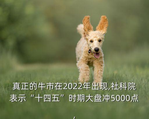 真正的牛市在2022年出現(xiàn),社科院表示“十四五”時期大盤沖5000點(diǎn),