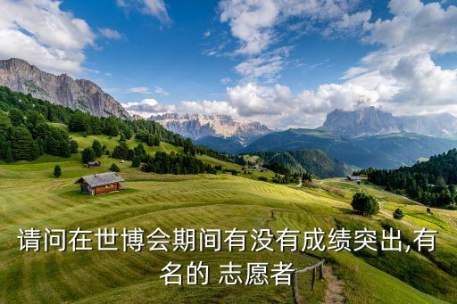 請(qǐng)問在世博會(huì)期間有沒有成績(jī)突出,有名的 志愿者