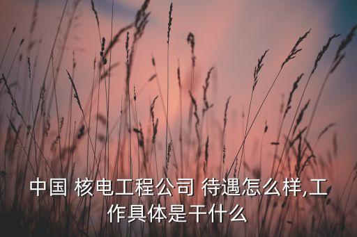中國(guó)核電中層領(lǐng)導(dǎo)待遇