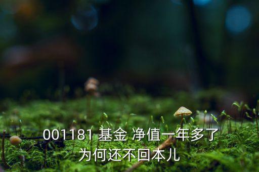 001181基金凈值,南方改革機遇基金 001181