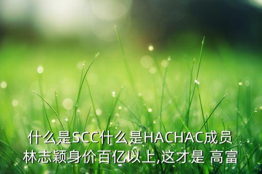 高富集團,黎亮香港高富集團