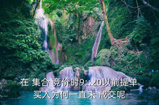 在 集合 競(jìng)價(jià)時(shí)9::20以前提單買入為何一直未 成交呢