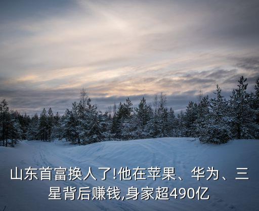 玲瓏集團王希成,玲瓏輪胎王希成個人簡歷