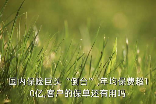 安邦集團陳小魯