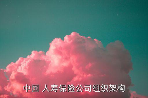 中國(guó) 人壽保險(xiǎn)公司組織架構(gòu)