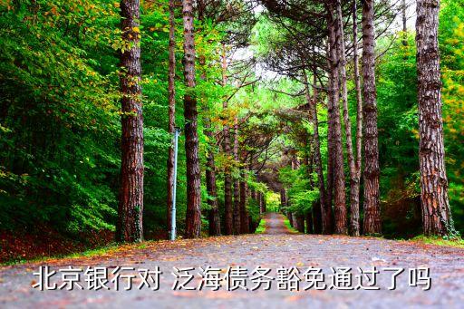 北京銀行對(duì) 泛海債務(wù)豁免通過了嗎