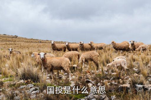  國投是什么意思