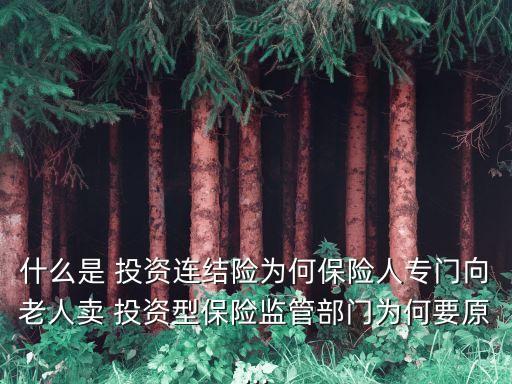 投連險(xiǎn)投資范圍