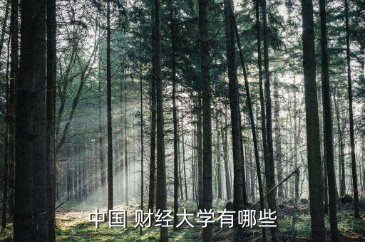 上海財(cái)經(jīng)2007山東,山東考上海財(cái)經(jīng)要多少分