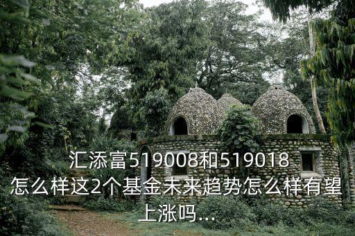  匯添富519008和519018怎么樣這2個(gè)基金未來趨勢(shì)怎么樣有望上漲嗎...