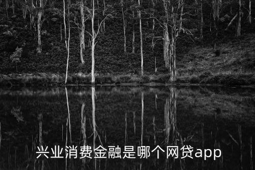 中國興業(yè)控股有限公司