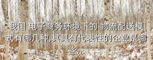 我國 電子商務環(huán)境下的 物流配送模式有哪幾種,其具有代表性的企業(yè)是哪些...